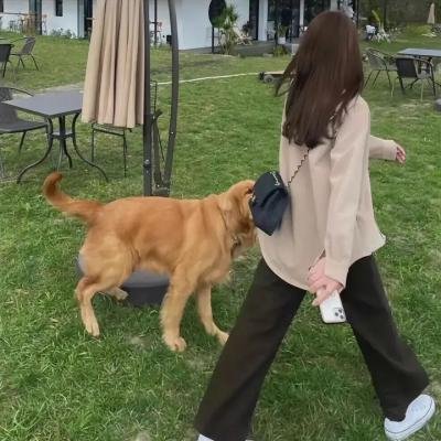 你注定属于我